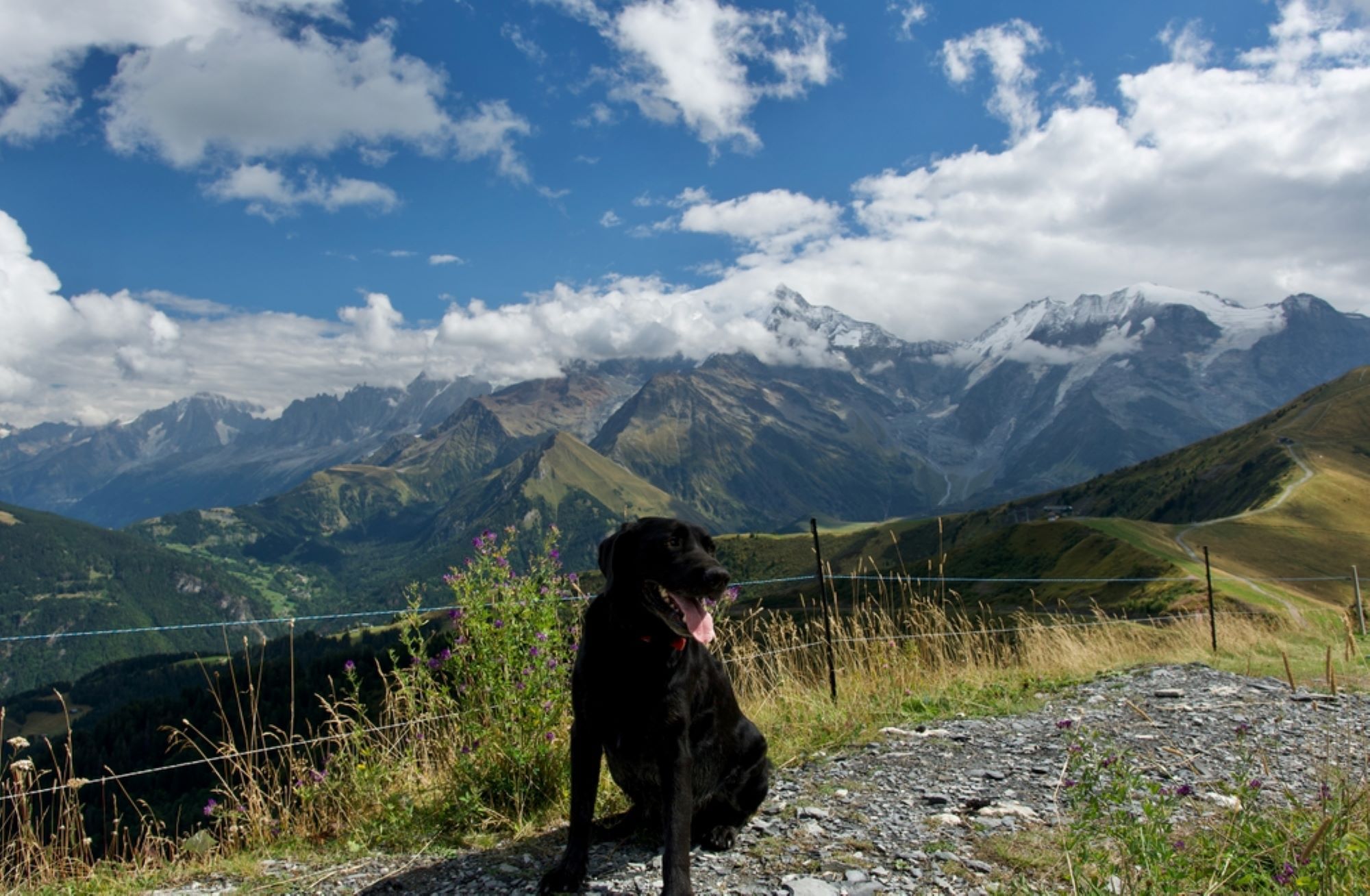 mont blanc