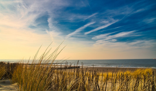 Najpiękniejsze plaże Holandii