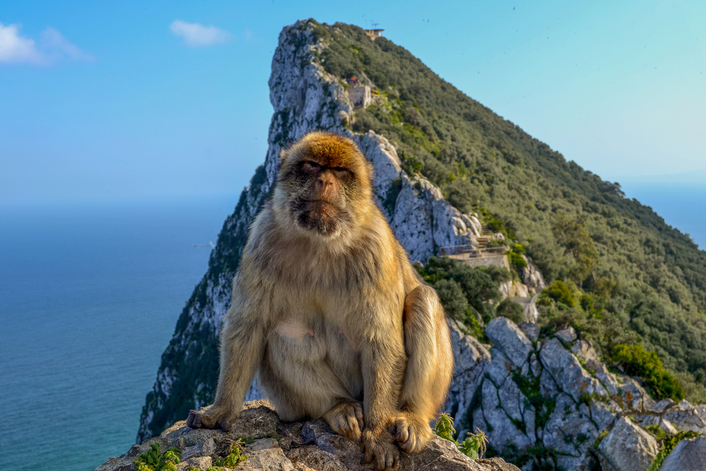 gibraltar