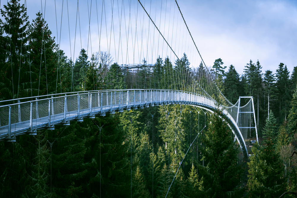 wildline nordschwarzwald