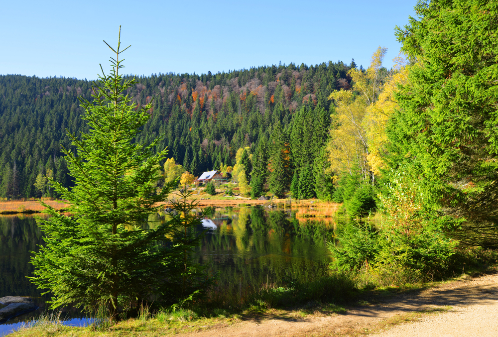 Abersee Las Bawarski