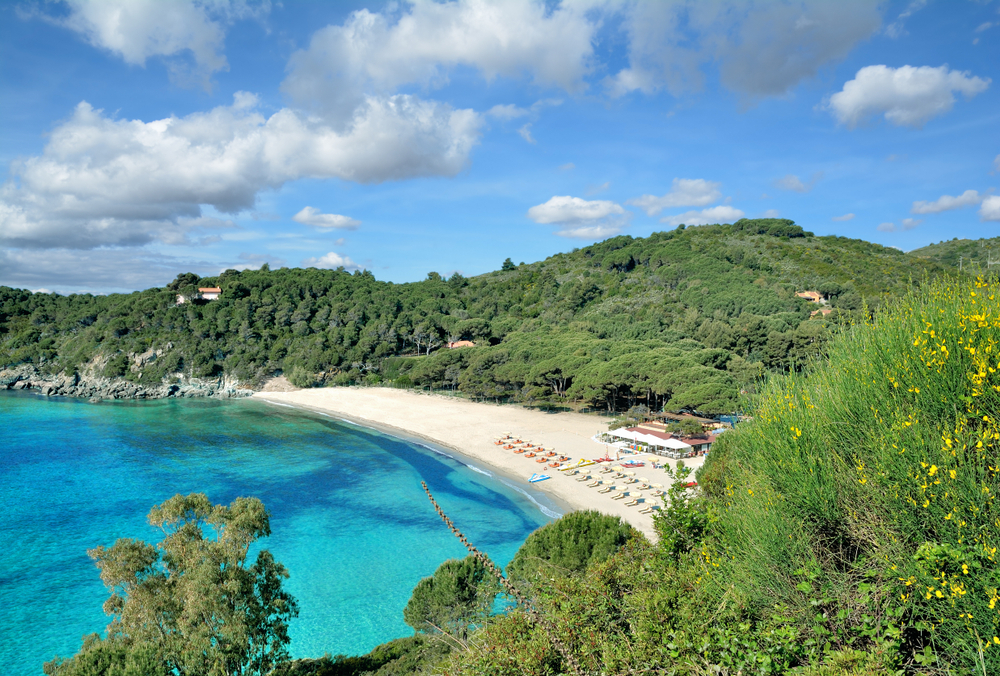 Elba plaże Fetovaia