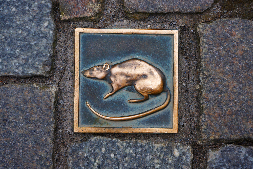 Symbol Hameln Szczur