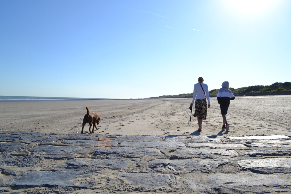 Spacer z psem po plaży Oostende w Belgii